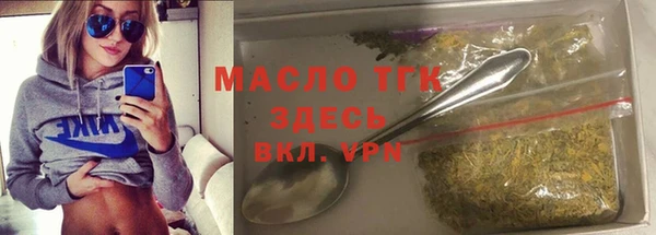 гашик Пересвет