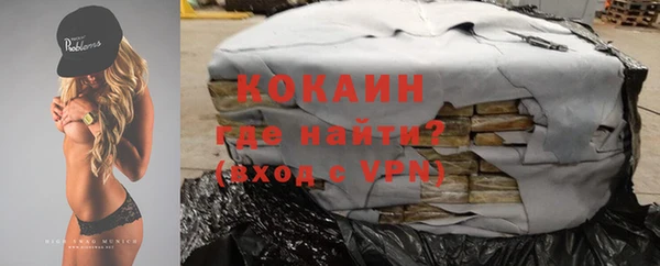 гашик Пересвет