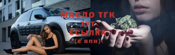 гашик Пересвет