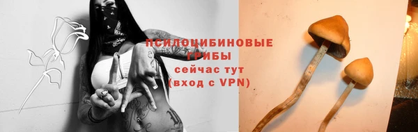 мяу мяу мука Пестово