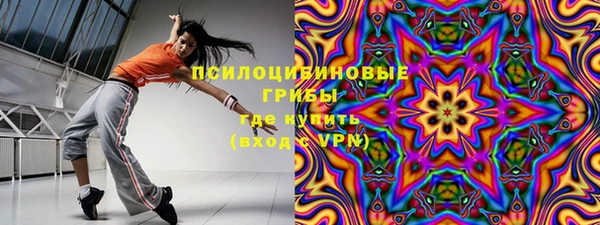 гашик Пересвет
