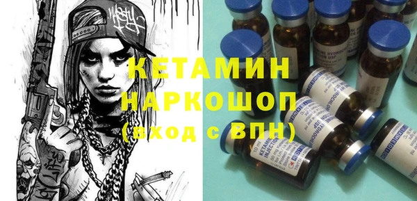 гашик Пересвет
