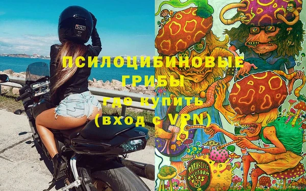 гашик Пересвет