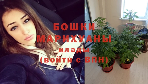 мяу мяу мука Пестово