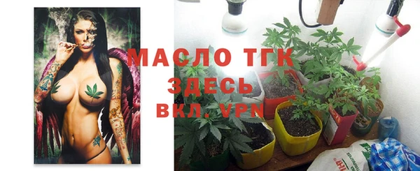 гашик Пересвет